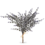 Eucalyptus Sprig Bunch